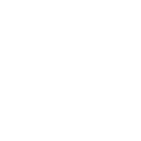 Meet the best icon